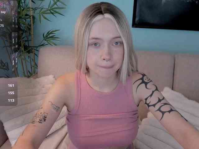 DragonFlya webcam