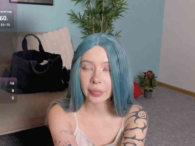 DragonFlya webcam