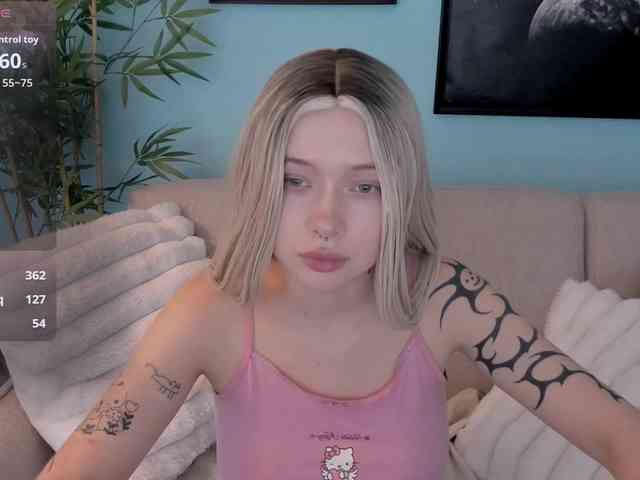 DragonFlya webcam
