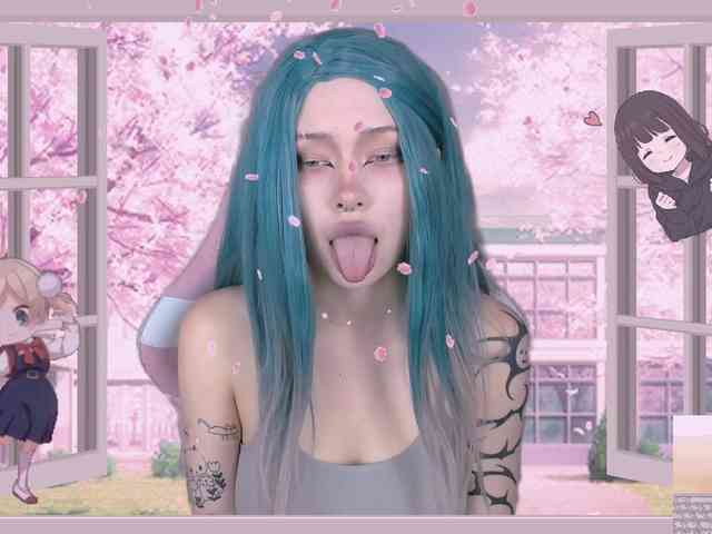 DragonFlya webcam