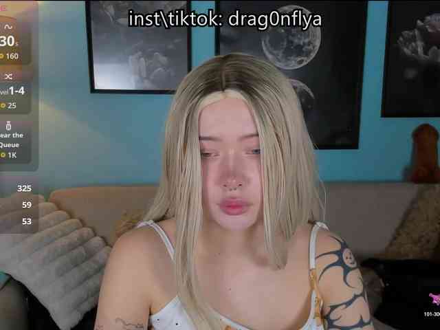 DragonFlya webcam