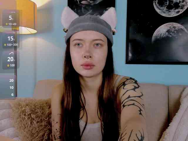 DragonFlya webcam