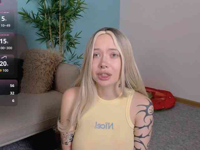 DragonFlya webcam