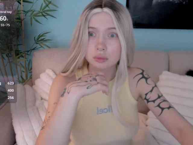 DragonFlya webcam