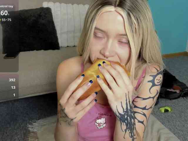 DragonFlya webcam