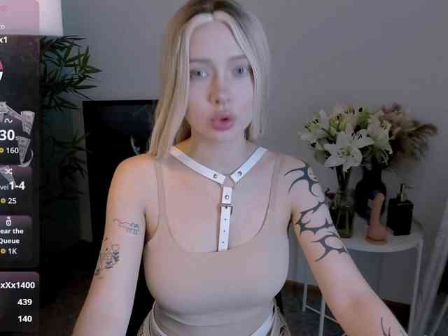 DragonFlya webcam