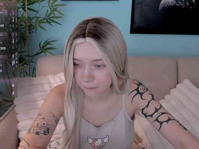 DragonFlya webcam