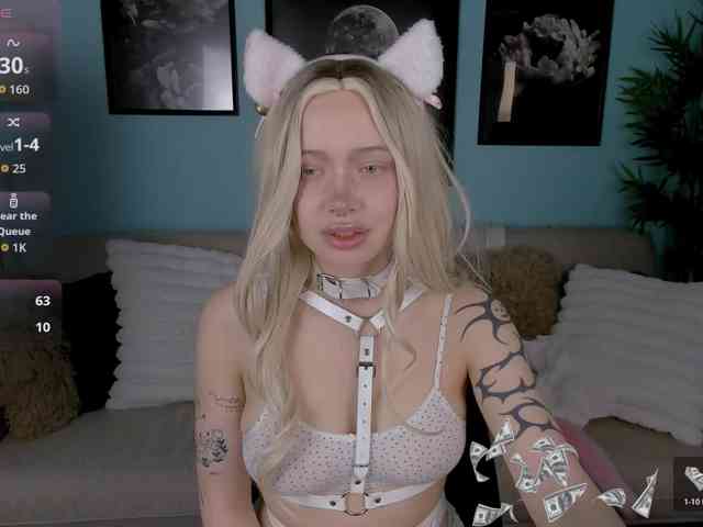 DragonFlya webcam