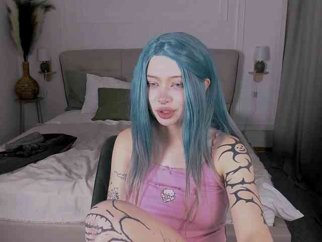DragonFlya webcam