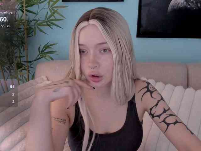 DragonFlya webcam