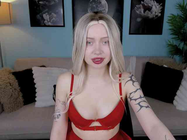 DragonFlya webcam