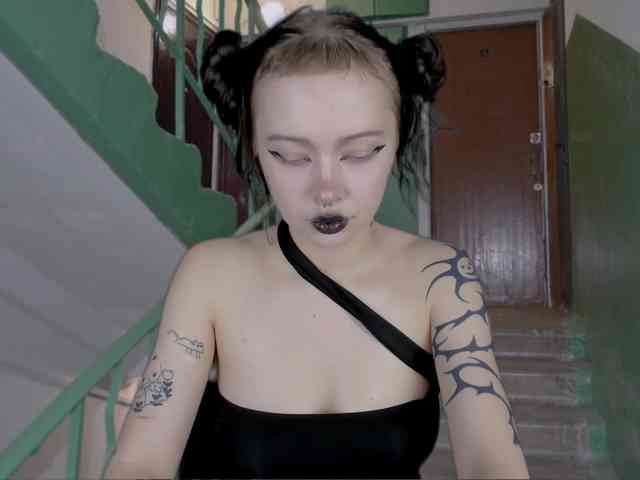 DragonFlya webcam