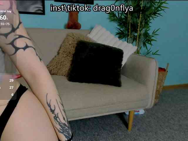 DragonFlya webcam