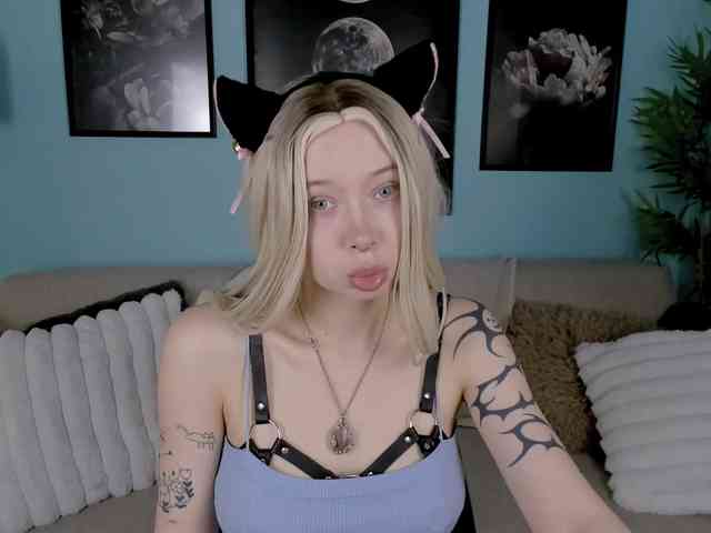 DragonFlya webcam