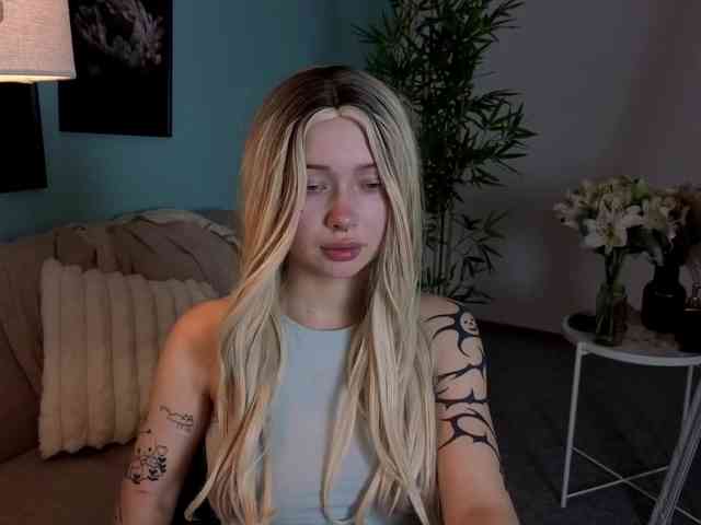 DragonFlya webcam