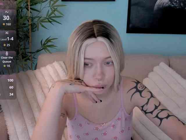DragonFlya webcam