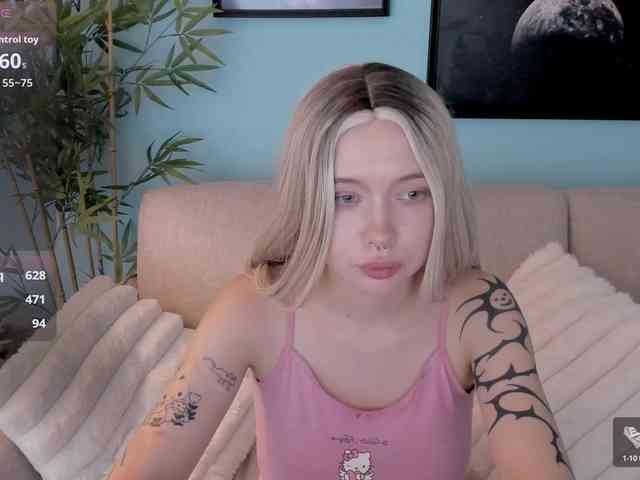 DragonFlya webcam