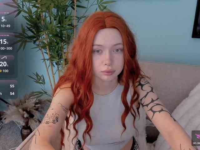 DragonFlya webcam