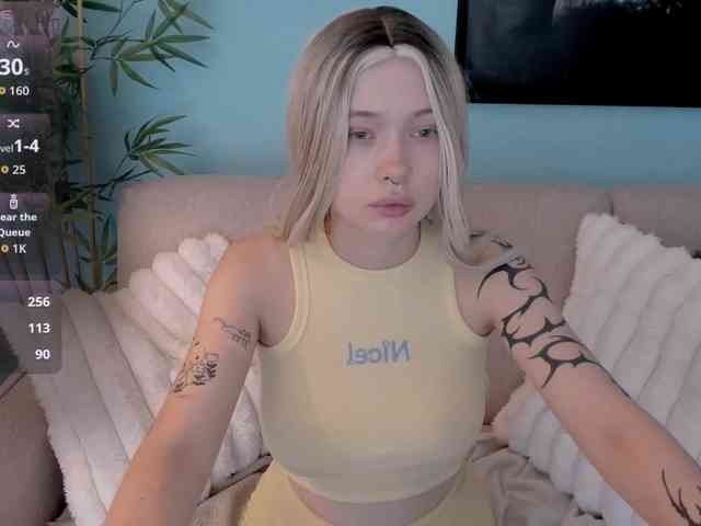DragonFlya webcam