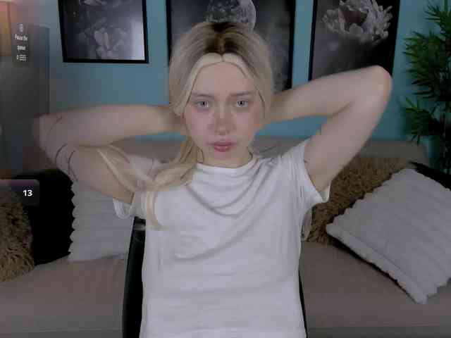 DragonFlya webcam