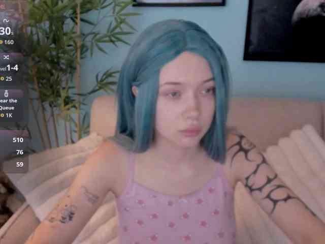 DragonFlya webcam