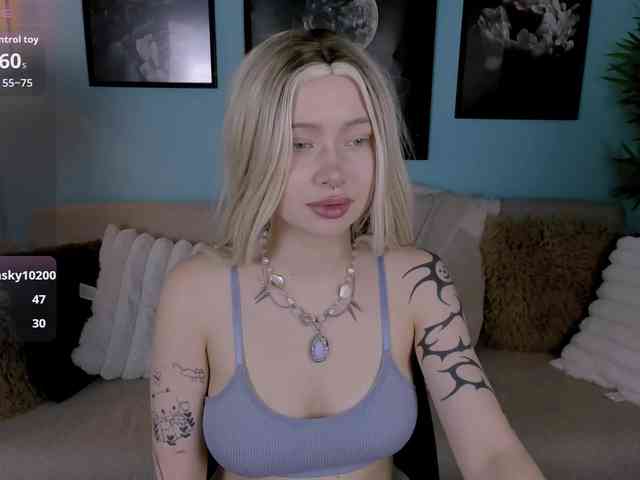 DragonFlya webcam