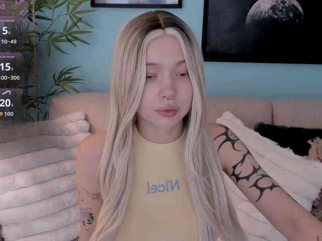 DragonFlya webcam