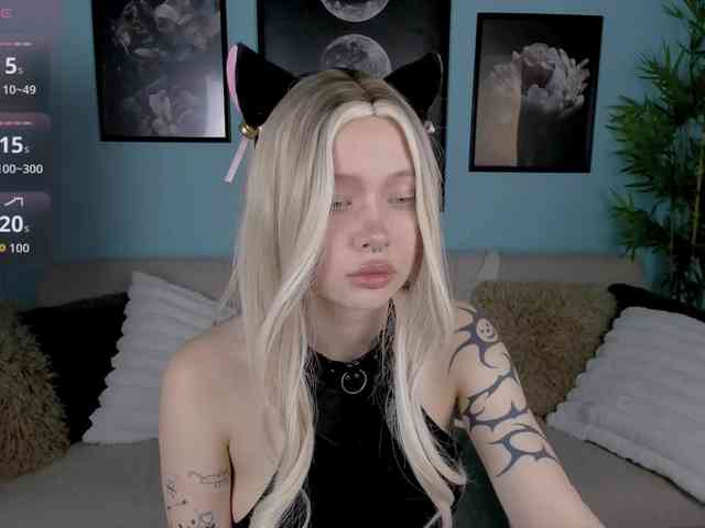 DragonFlya webcam