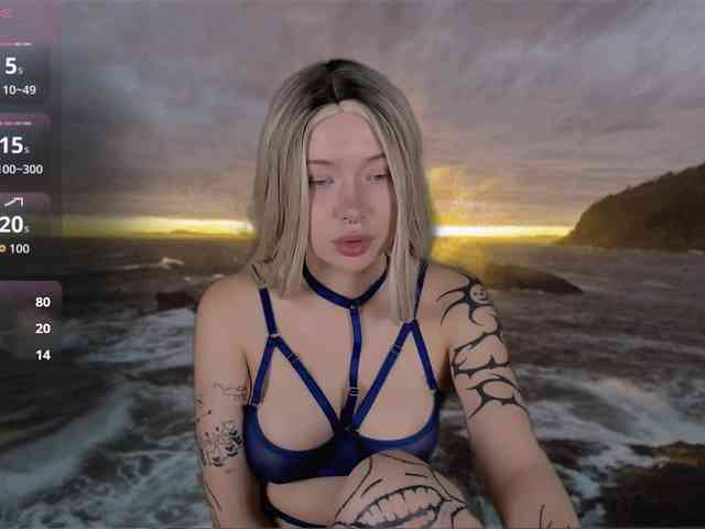 DragonFlya webcam