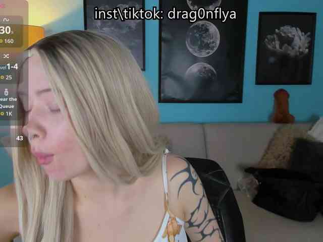 DragonFlya webcam