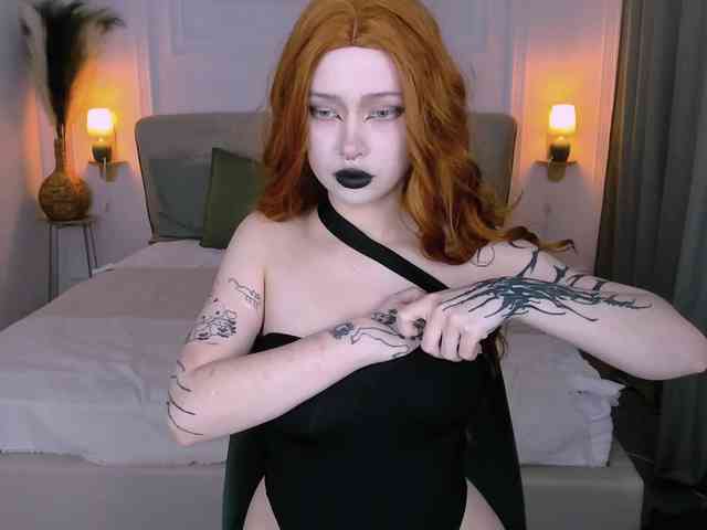 DragonFlya webcam