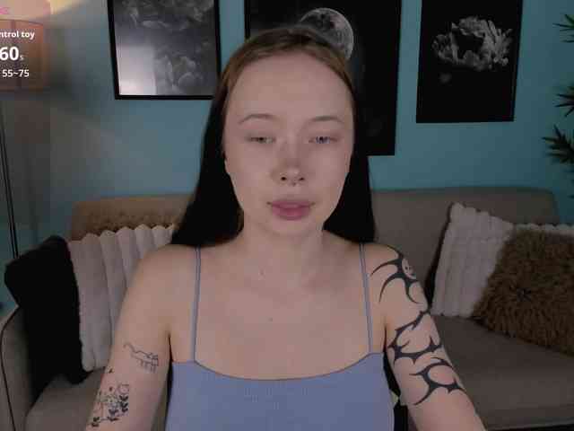 DragonFlya webcam