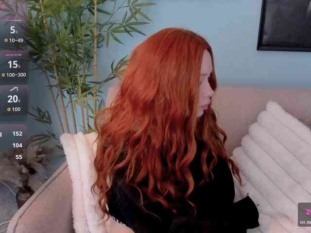 DragonFlya webcam