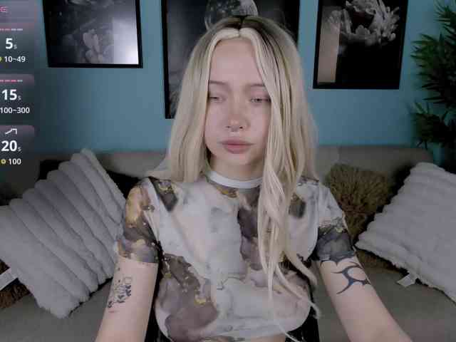 DragonFlya webcam