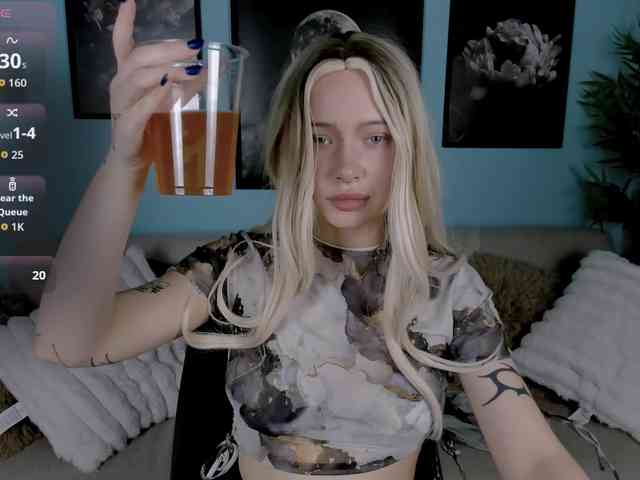DragonFlya webcam