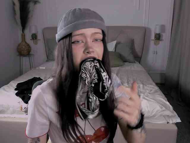 DragonFlya webcam