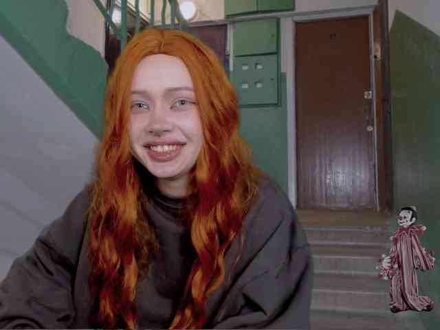 DragonFlya webcam