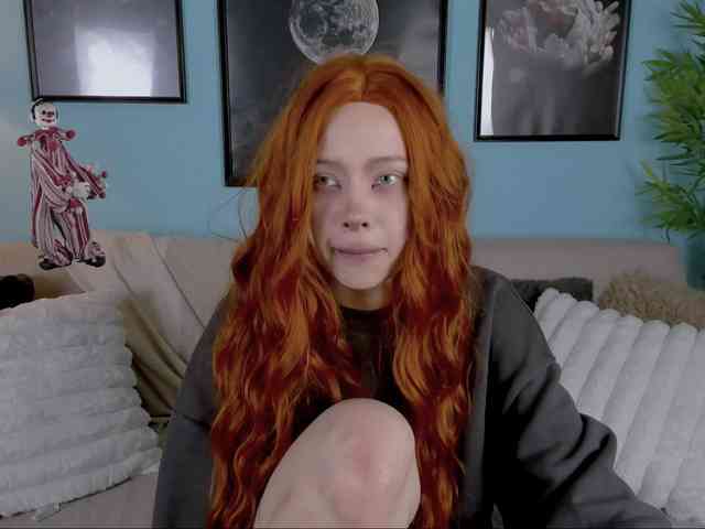 DragonFlya webcam