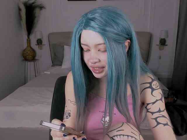 DragonFlya webcam