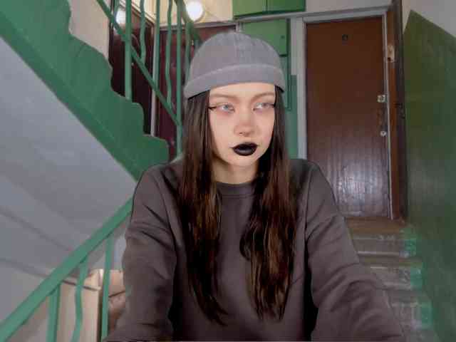 DragonFlya webcam
