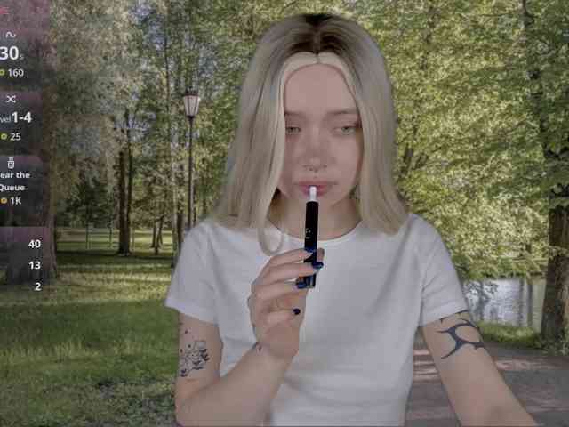 DragonFlya webcam