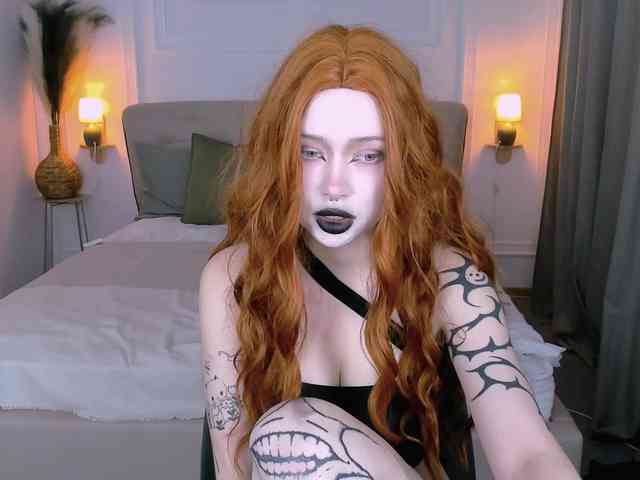 DragonFlya webcam