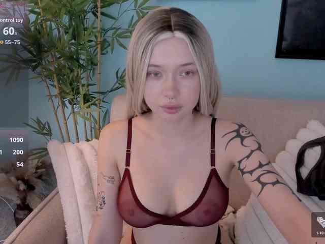 DragonFlya webcam