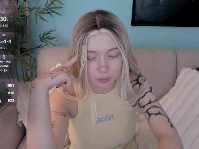 DragonFlya webcam