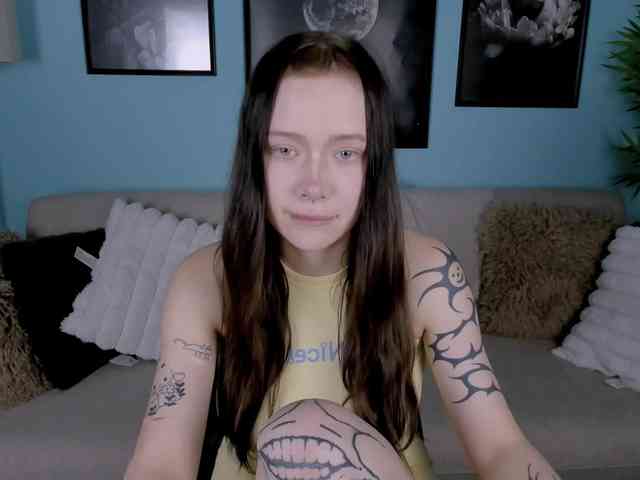 DragonFlya webcam