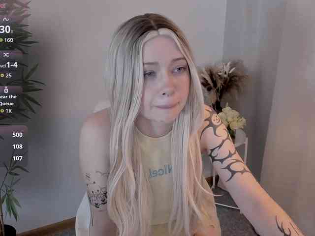 DragonFlya webcam