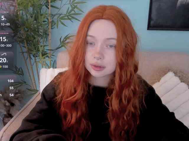 DragonFlya webcam