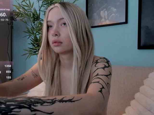 DragonFlya webcam