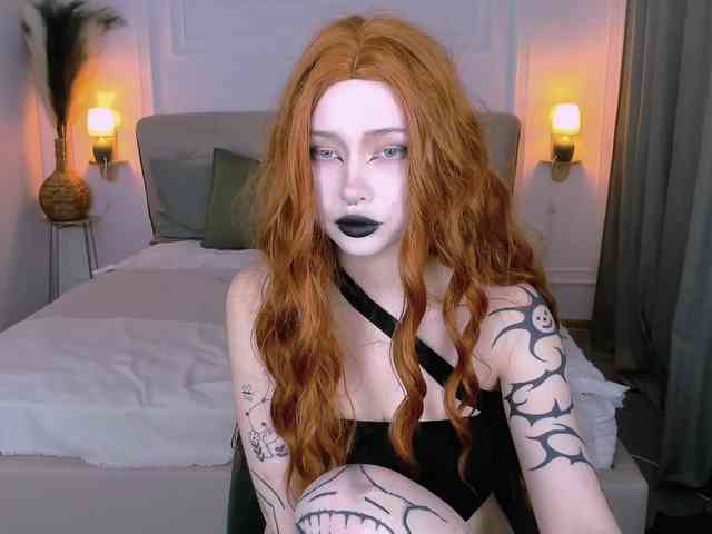 DragonFlya webcam