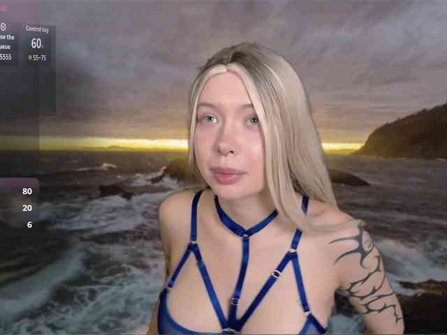 DragonFlya webcam